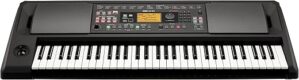 Korg 61-Key Portable Keyboard (EK-50L)