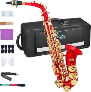 EASTROCK Alto Saxophone E Flat Full Kit