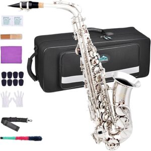 EASTROCK Alto Saxophone Full Kit For Beginners