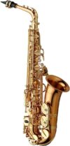 Yanagisawa AWO2 Alto Saxophone Bronze