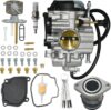 JDLLONG Bear Tracker 250 Carburetor With 4XE-14140-13-00