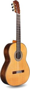 Cordoba C10 Parlor Acoustic Nylon Guitar