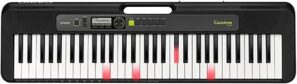 Casio Casiotone LK-S250 Portable Keyboard