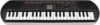 Casio Casiotone SA-81 44-Key Portable Keyboard