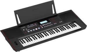 Roland E-X50 Electronic Arranger Keyboard, Black