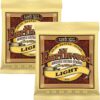 Ernie Ball Earthwood Light Acoustic Guitar Strings 11-52