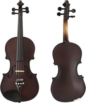 Cecilio Ebony Fitted Solidwood Violin With Case