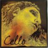 Pirastro Evah Pirazzi Gold Cello D String
