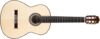 Cordoba F10 Acoustic Nylon Flamenco Guitar