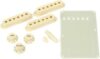 Fender Fender Aged White Stratocaster Accessory Kit