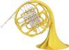 Conn French Horn-Double, Yellow Brass 6D