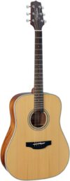 Takamine GD20-NS Natural Satin Guitar