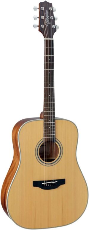 Takamine GD20-NS Natural Satin Guitar