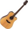 Takamine GD20CE-NS Dreadnought Cutaway Guitar