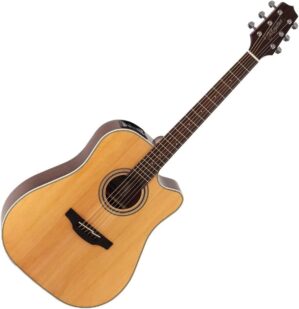 Takamine GD20CE-NS Dreadnought Cutaway Guitar