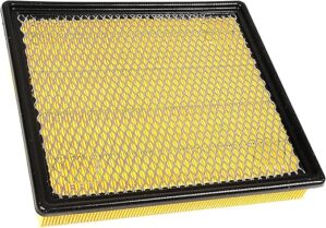 ACDelco GM Original Equipment A3176C Air Filter