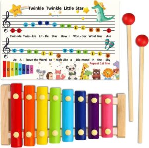 DIFFYBOX Kids Wooden Xylophone Musical Instrument Gift
