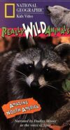 National Geographic’s Really Wild Animals: Amazing North America