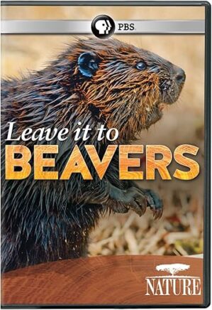 Nature: Leave It to Beavers by Author's Name