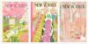 DFAIUY New Yorker Magazine Canvas Wall Art