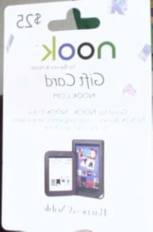 Barnes and Noble Nook E Book Reader