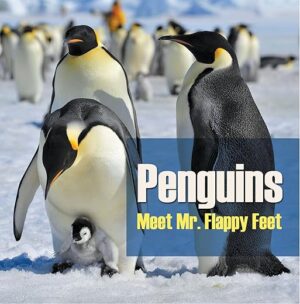 Penguins: Meet Mr. Flappy Feet