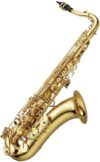 Yanagisawa Professional Bb Tenor Saxophone, Standard Finish