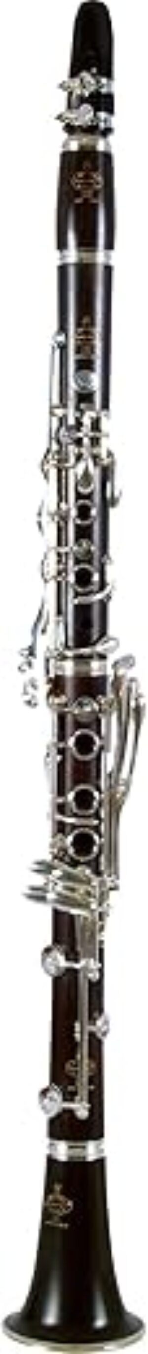 Buffet Crampon R13 Greenline A Clarinet