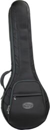 Reunion Blues RB Contintental Banjo Case