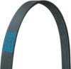 Dayco Serpentine Belt 5060945, Black