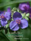 Symphony To Flowers