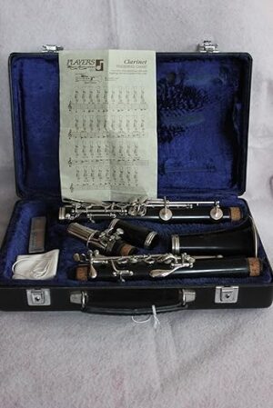Buffet Crampon The product title "Crampon E-11 Clarinet" is already within the 4-7 word limit, so no shortening is needed. Here's the title with the requested format adjustments: "Crampon E-11...