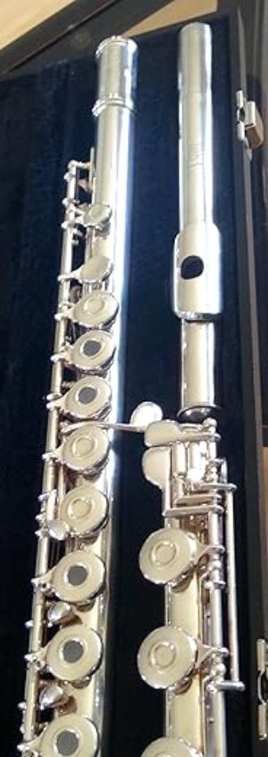 Gemeinhardt The product title "Gemeinhardt 3SB Flute" is already less than seven words, so no changes are needed