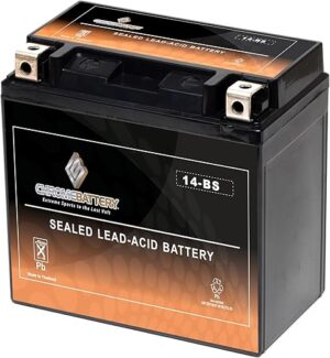 Chrome Battery YTX14-BS ATV Battery Replacement