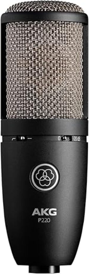 AKG Vocal Condenser Microphone, XLR, Black (3101H00420)