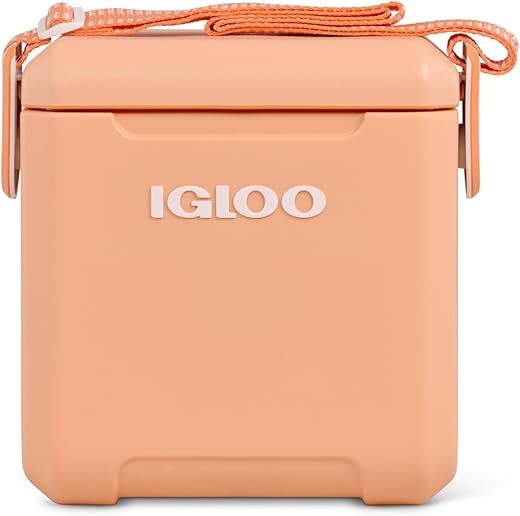 Igloo 11 Qt Tag Along Picnic Cooler