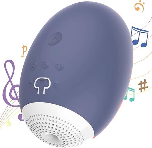 Dasam 13 in 1 Electronic Handy Piano