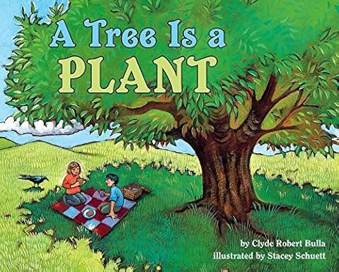 A Tree Is A Plant By Clyde Robert Bulla