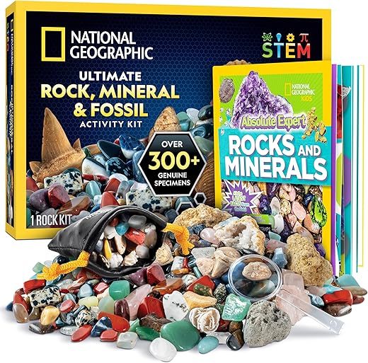 Blue Marble Absolute Expert: Rocks & Minerals By National Geographic Kids