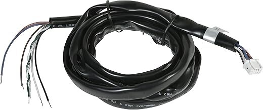 AEM Aem Electron 303459