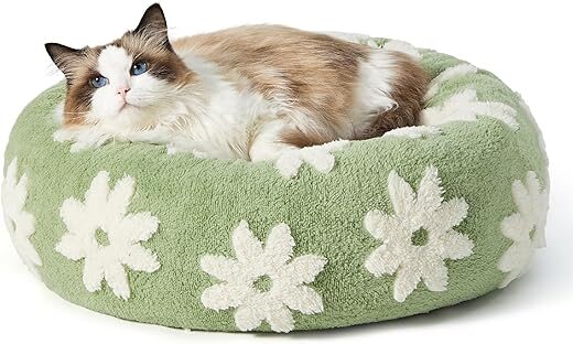 LE SURE Cat Bed Donut Small Dog Bed, 20 Inch, Green