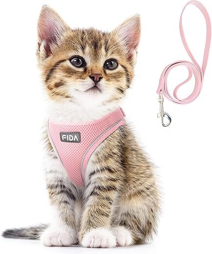 Fida Cat Harness and Leash Set, XXXS, Pink