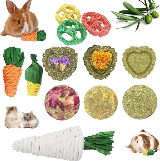 Lacrima Chew Toys And Treats For Small Animals