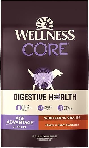 Wellness Digestive Health Senior Dog Food – Advanced Age