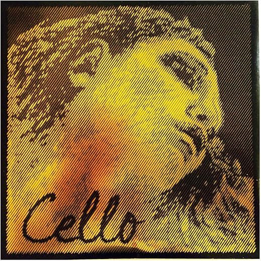 Pirastro Evah Pirazzi 4/4 Medium Cello String Set