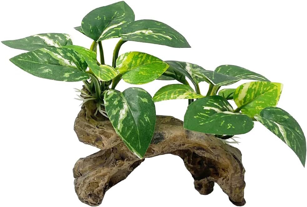 Smoothedo-Pets Fish Tank Decorations Driftwood Cave Type-C