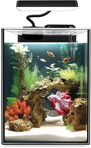 iPriro Glass Betta Aquarium Starter Kit 1.5 Gallon