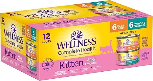 Wellness Grain-Free Wet Kitten Food, 3-Ounce, Pack of 12