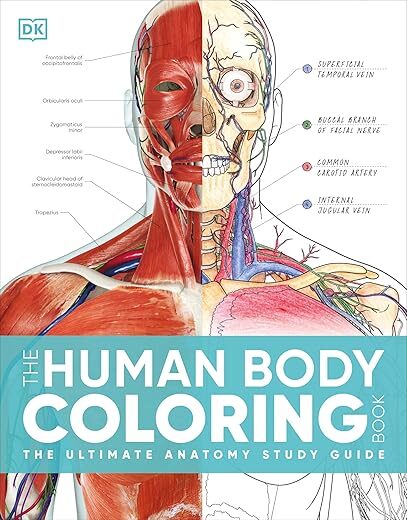 Human Body Coloring Book: Ultimate Study Guide