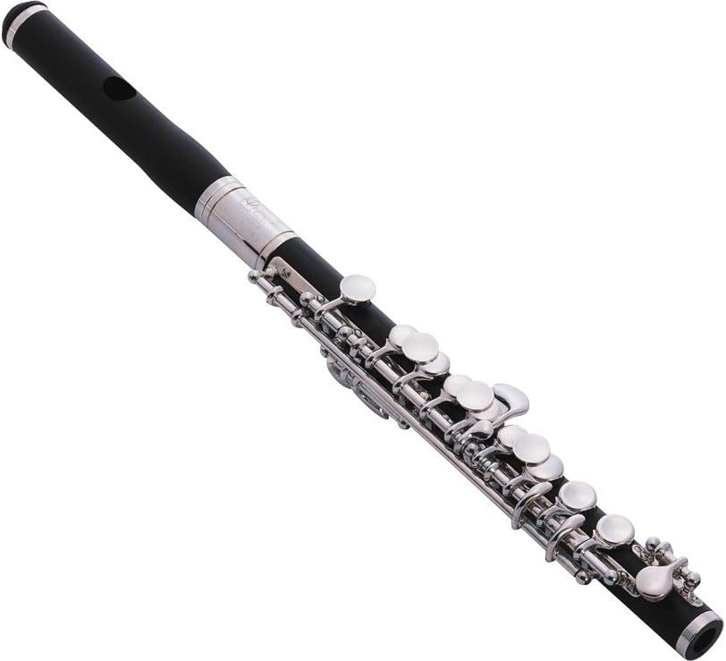 Jupiter Jupiter Piccolo Level 2 190839020567